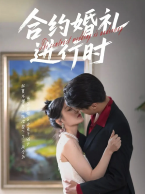 合约婚礼进行时（30集）刘灵灿
