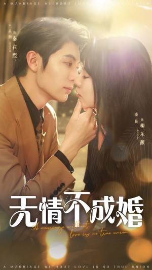 无情不成婚（70集）王子林&盛晨