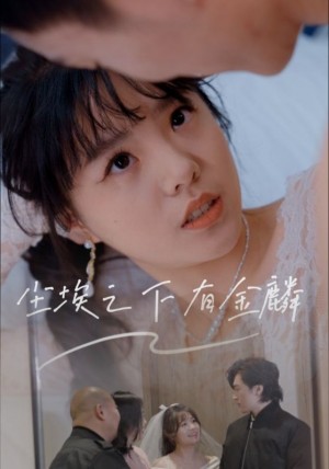 尘埃之下有金鳞（60集）汪晓彤