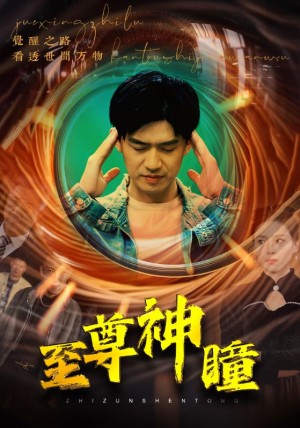《至尊神瞳》