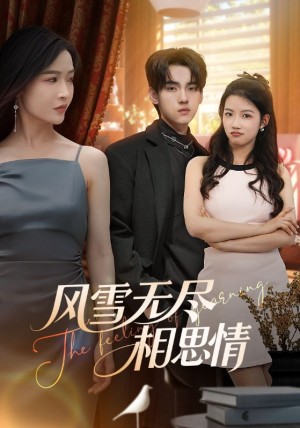 风雪无尽相思情（61集）李珊&詹琸