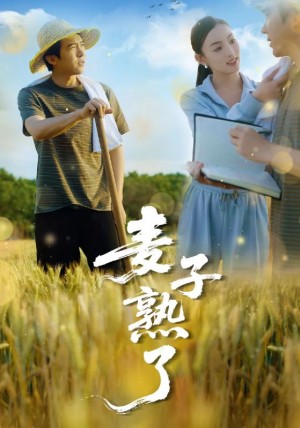 麦子熟了（52集）冯思源＆宋雯娟