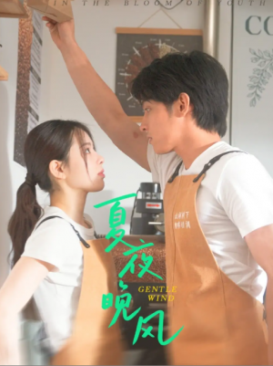 夏夜晚风（12集）何衍朝＆蔡子伊